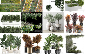 ​24套植物，树，盆栽模型合集
