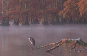 Craftsy - Long Lens Landscape Photography