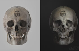 The Gnomon Workshop - Sculpting the Human Skull