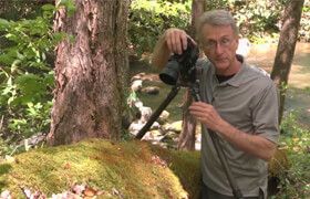 Craftsy - Close-Up Nature Photography Beyond the Basics