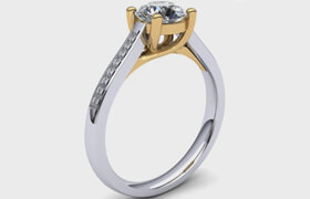 Udemy - Jewellery Design in Rhino - Intermediate level with Hamed Arab