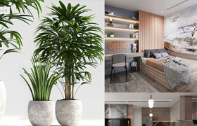一组植物盆栽模型+一套室内场景模型