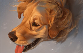 Gumroad - Mari-Liis Kirismagi - Dog Portrait Tutorial & Brush Pack