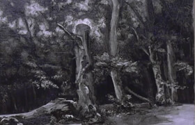 Udemy - Painting Forests. Learn How To Start A Forest Painting