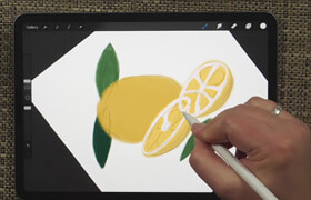 Skillshare - Procreate for iPad Beginner Class