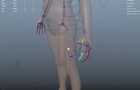 Rigging in Maya