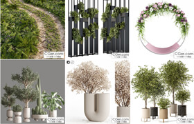 16套植物盆栽模型合集