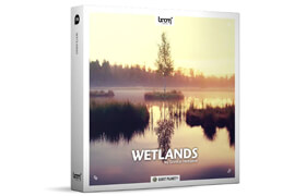 Boom Library - Wetlands