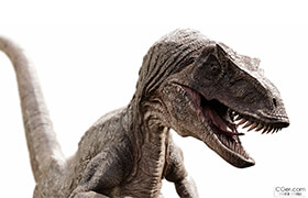 Raptor Dinosaur 3d Model Realistic And Rigged - 3dmodel