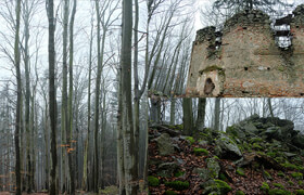 ArtStation - Forest Ruins by Jakub Cervenka