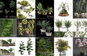 50套植物盆栽树木装饰品模型