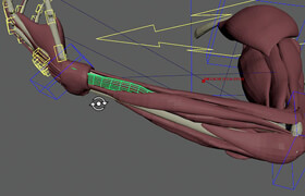 The Gnomon Workshop - Introduction to Ziva VFX Volume 1