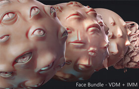 Artstation - Zbrush - Face IMM + VDM Bundle - 模型
