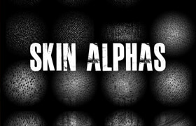 Artstation - Zbrush Skin Alphas - zbrush笔刷