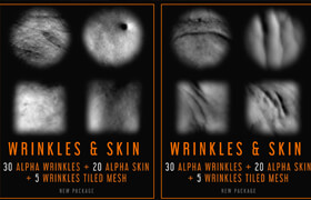 Artstation - Wrinkles and Alpha Skin Textures - 材质