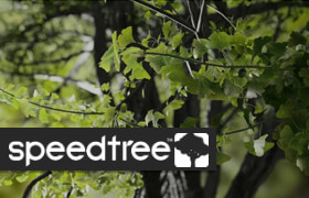 SpeedTree - 植物创建软件
