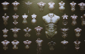 Artstation - TORSOS - 33 Character & Creature Zbrush Insertmesh Brush - zb笔刷