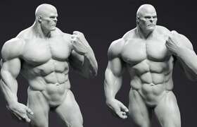 FlippedNormals - Introduction to Anatomy