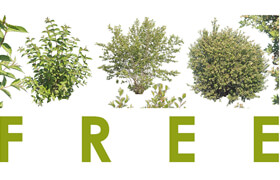 AATextures - 3 Free Cutout Bushes