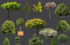 Architectural Visualization - 15 High Quality PNG Tree And Bush CUTOUTS For Gamma 2.2