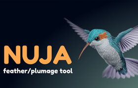 Nuja - Blender 创建羽毛的工具包