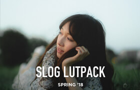 SLOG LUTPACK SPRING '18 by AUXOUT - lut