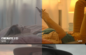 Videohive - 700 Film Looks - LUT Color Preset Pack