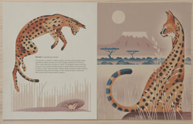 Domestika - Wildlife Illustration for Children’s Books - Dieter Braun