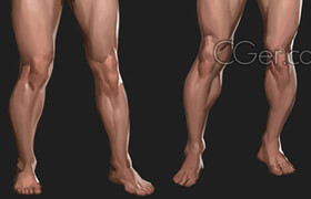 Gumroad - TB Choi - How to draw legs