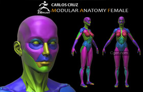 Gumroad - Female Modular Anatomy