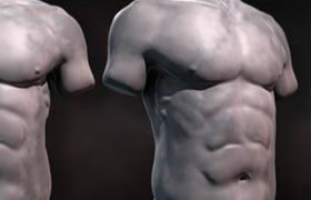 Digital Tutors - Sculpting Human Torsos in ZBrush