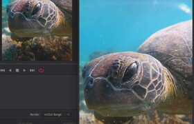 Udemy - Action Camera Masterclass Underwater Videographer Edition