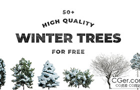 Free 50 High-Resolution Winter Trees With Transparent Background  ​
