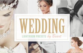 Creativemarket Wedding Lightroom Presets