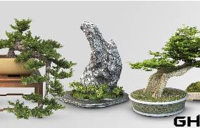 VizPeople - Free Bonsai Trees