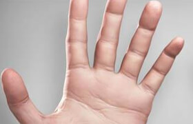 Digital Tutors - Painting Realistic Skin in MARI Hands