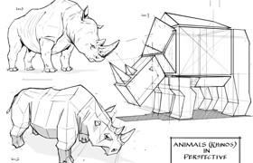 Foundation Sketching - Drawing Animals in Perspective (Rhinos) with Charles Lin
