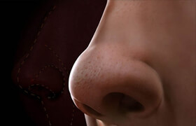 digitaltutors - Sculpting Human Noses in ZBrush