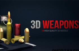 RodyPolis 3D Weapons Pack