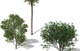 Xfrog 水果树模型库