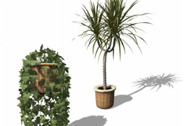 Xfrog 室内植物，盆栽植物模型库