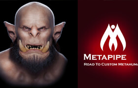 Metapipe (Custom Metahuman & Expressions Tool)