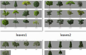 dosch 3d 出品的树木&松树模型库