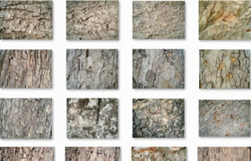 mightydeals - Tree Bark textures set1