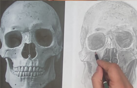 Udemy - Drawing the Human Skull
