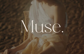 Harmonais Visual Muse - Chic Display Serif Font - 字体