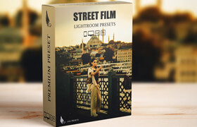 Hollywood Street Movie Landscape Presets - lut