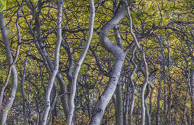 Mark Metternich - Blending for Dynamic Range - Blend If