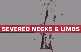 ActionVFX - Severed Necks & Limbs - 视频素材