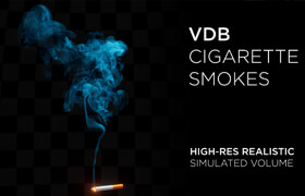 Artstation - High-Res VDB Cigarette Smokes